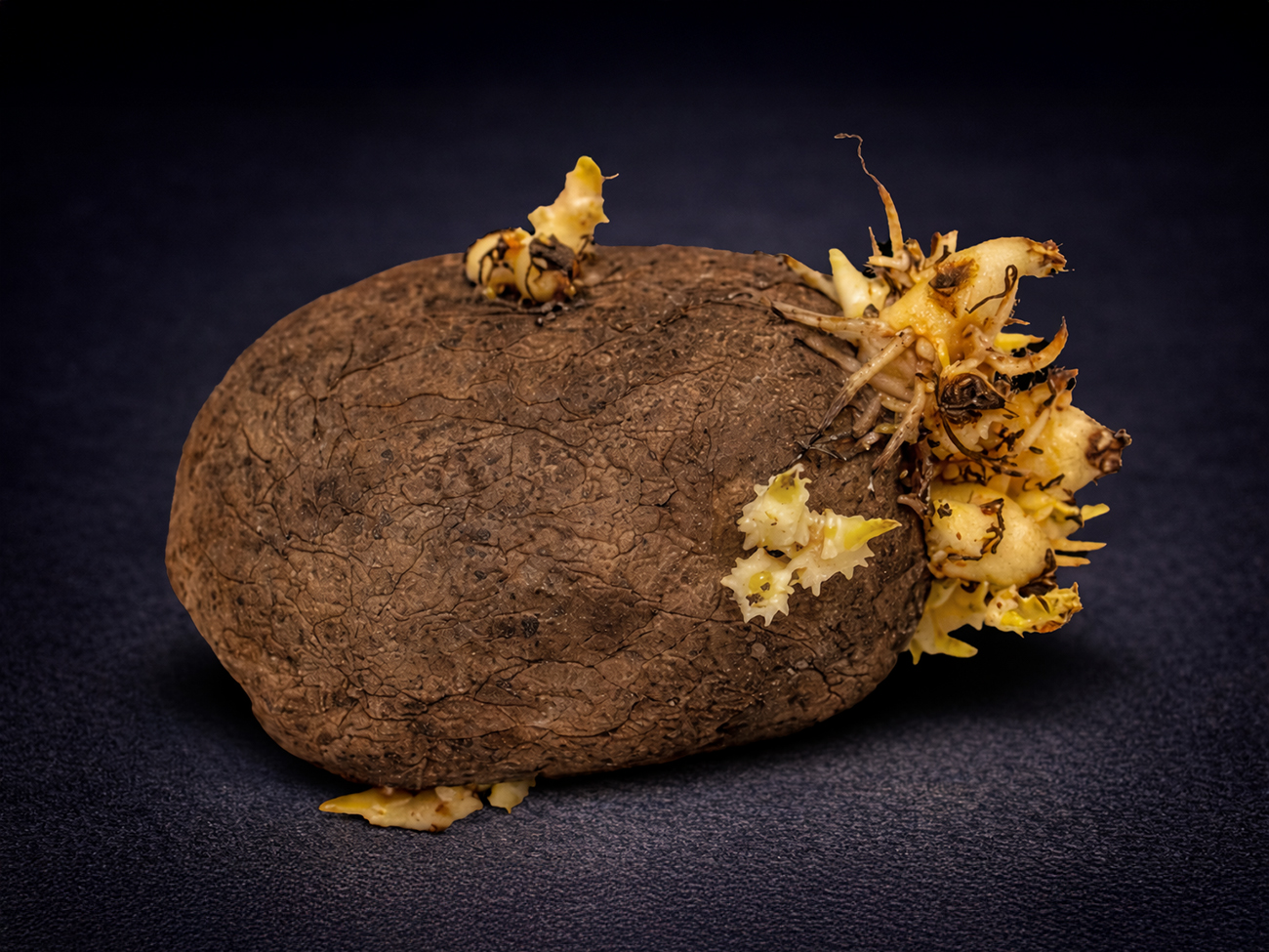 entrepreneurs-brand-owners-skip-tap